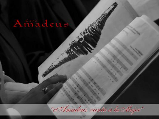 portada-de-amadeus-canta-a-la-mujer